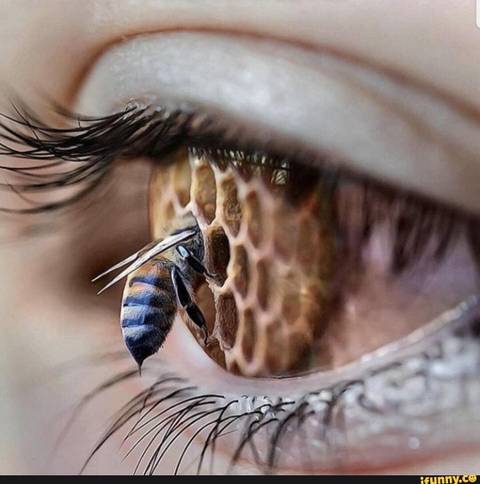 toastermeister00 nude