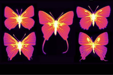 sincerelybecca525 nude