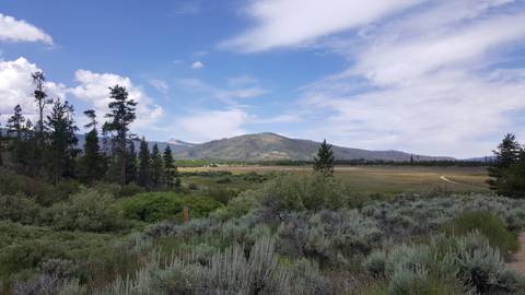 feetandfluffstuff nude