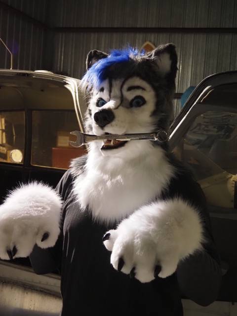 @gravitystormhusky