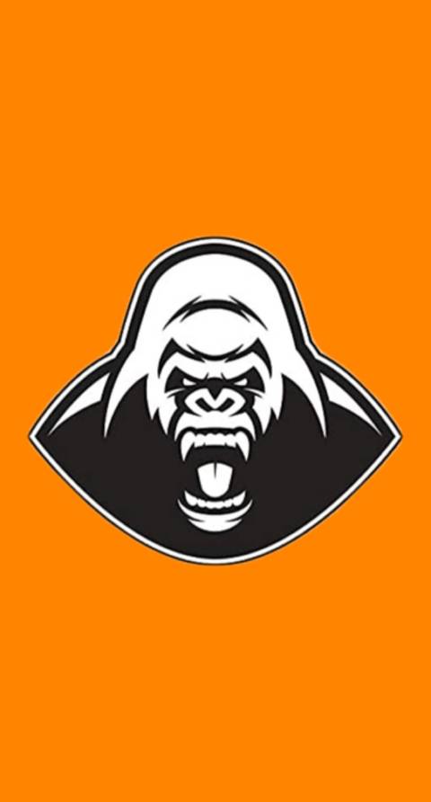 silverback.picks
