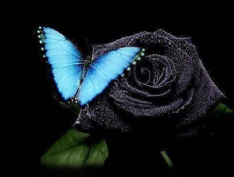 sexymommysondra nude