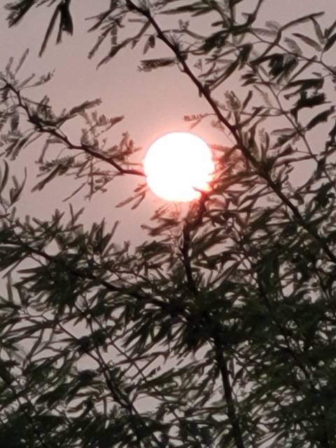 beautifulletdown666 nude