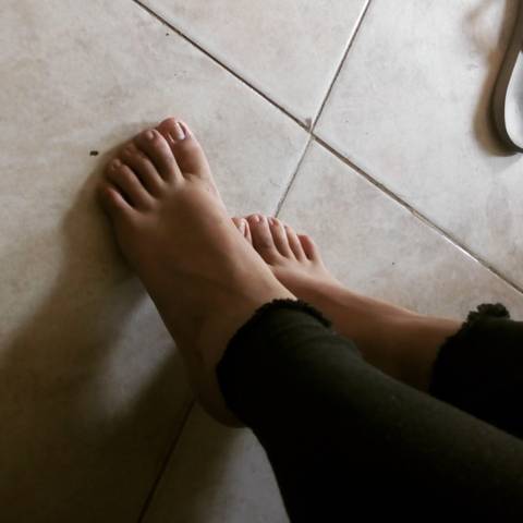 u181053746
