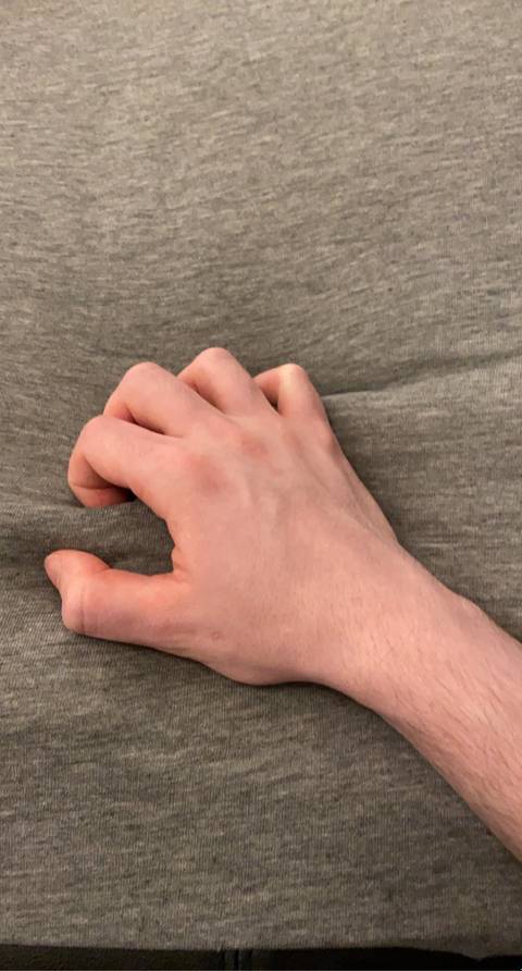 paleboihands