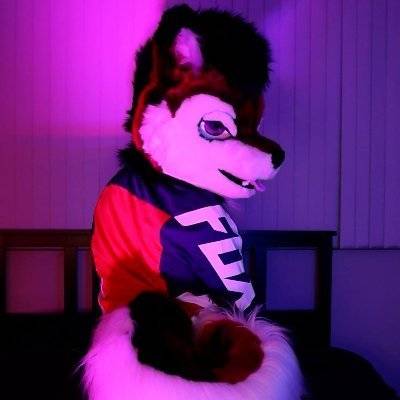 @arcohusky