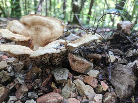 Sinister_Minister - sinister_minister OnlyFans