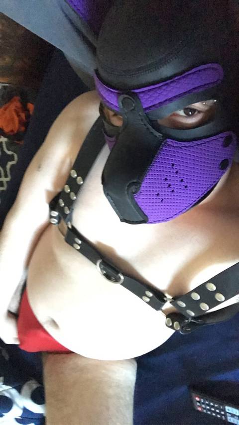 @bugsythepup