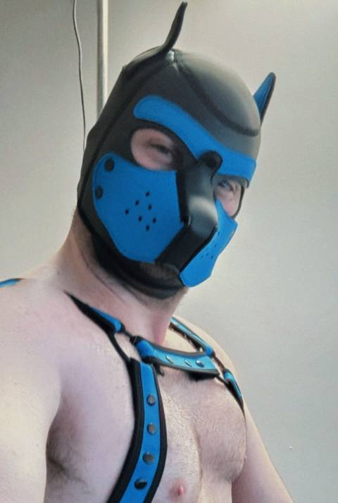 @pup_fictionx