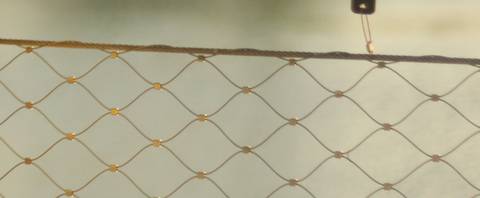 Omotola Meredith - africanroyalenergy OnlyFans