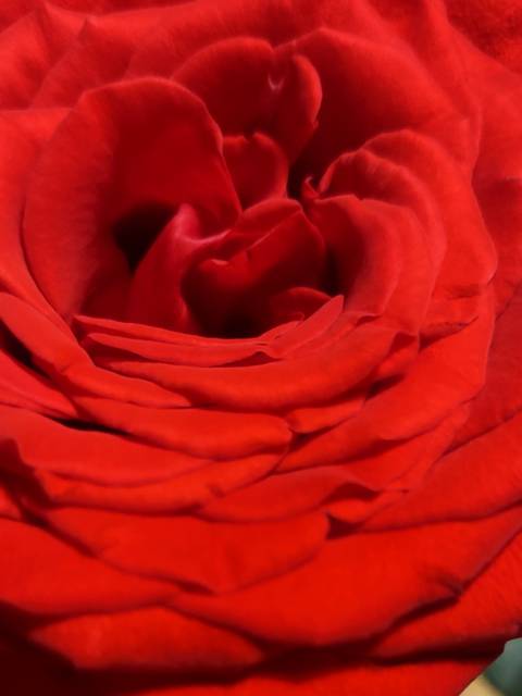 thickbabeandherking nude