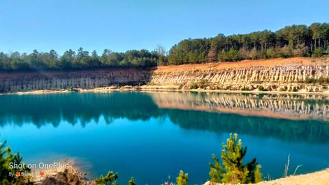 littleswampfox96 nude