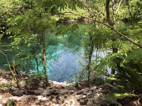 Portia Rayne - portiarayne OnlyFans