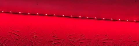 lilrichgoattrey nude