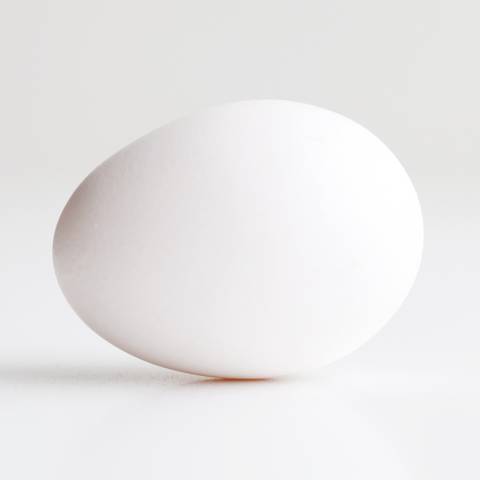 an_egg