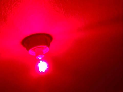 therealredsophia nude