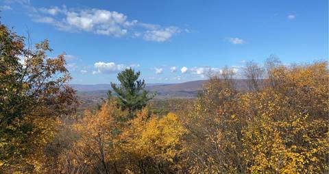 yourfantasygirl0011 nude