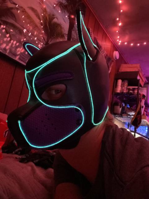 puptron