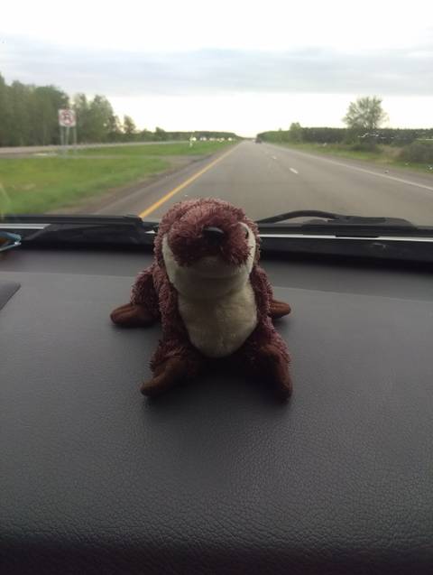 otteronaroadtrip