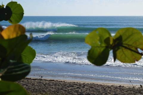 alittlesugarandspice nude