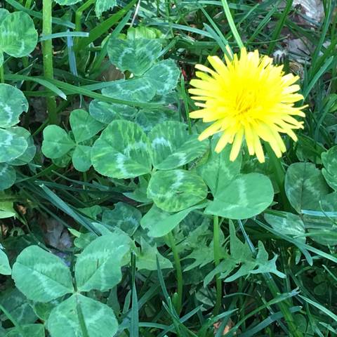 seanmmclaughlin nude