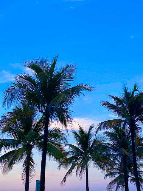 Ashlee - sexy_ashlee OnlyFans