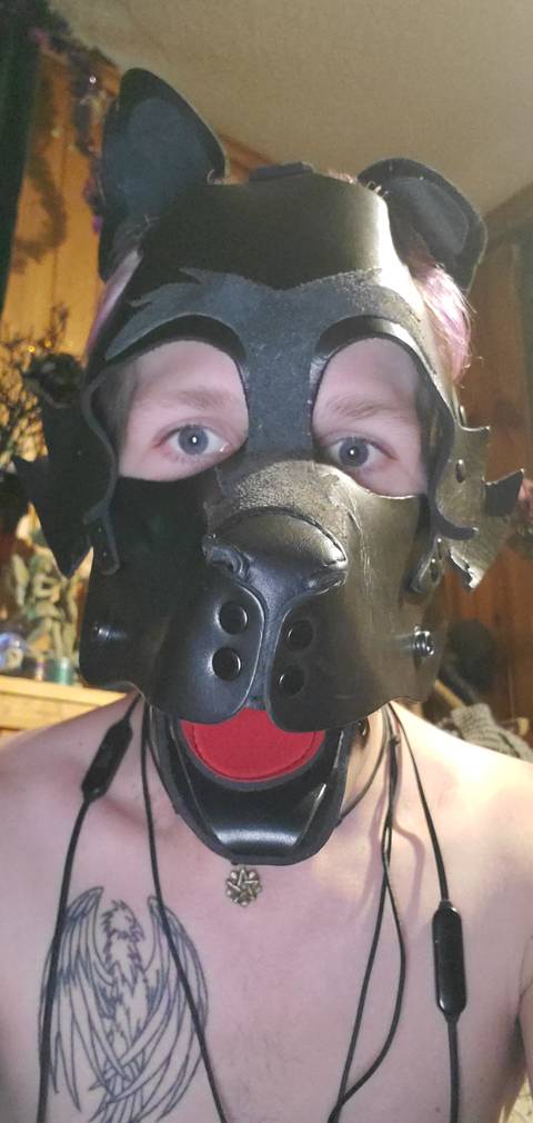 zane-pup89