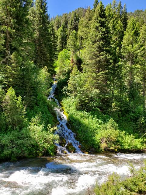 firecracker1985 nude