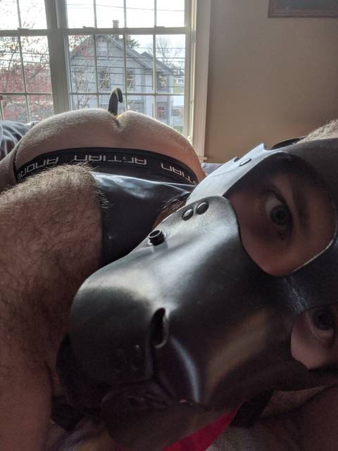 @rubberpupteddy