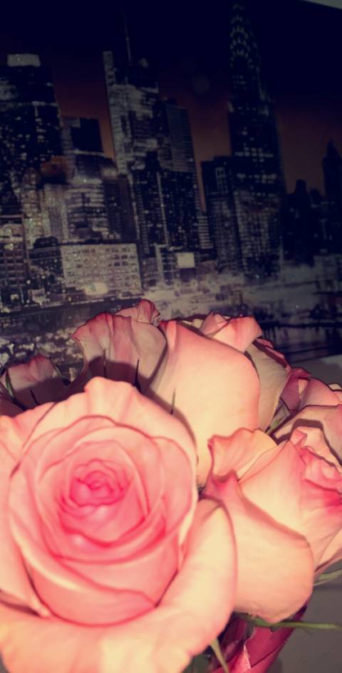 callme.em