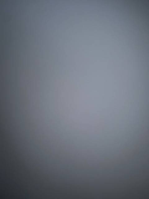 Tree Trunk - treeetrunk OnlyFans