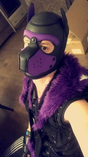 @pupdozyr