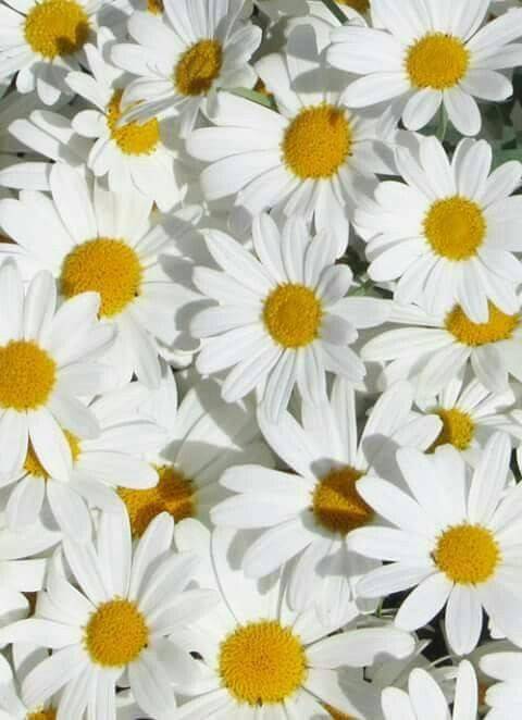 xsemevelatangax nude