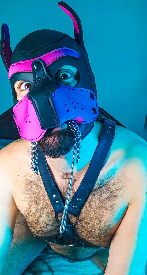 @puppybearcub