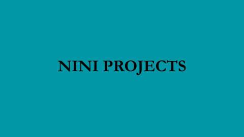 @nini.projects