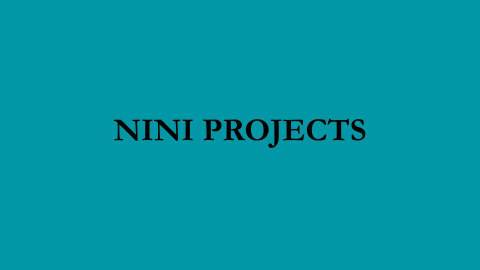 nini.projects