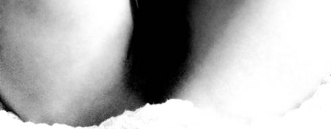u186725189