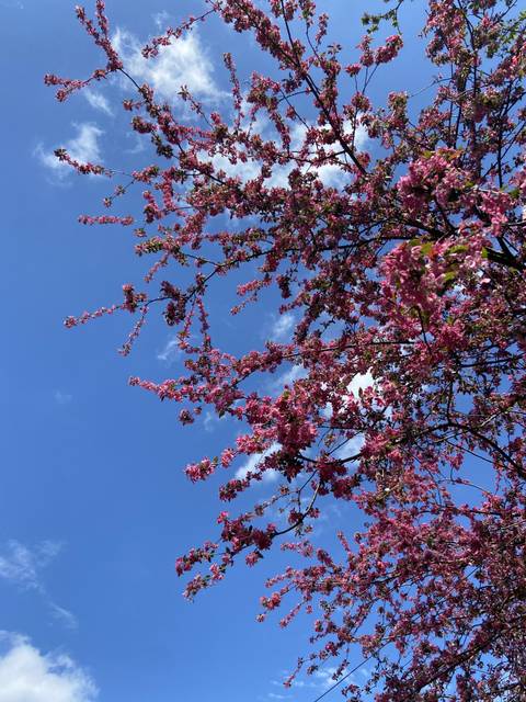 thisispanyalovesyou nude