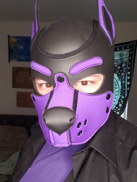 @pupmog