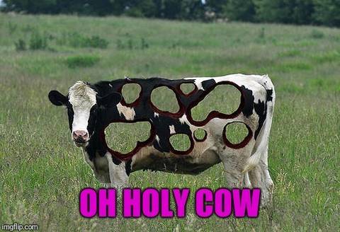 urholycow