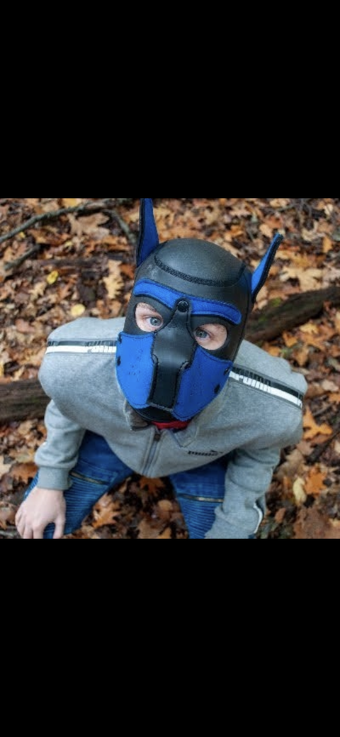 @pupnamedblue