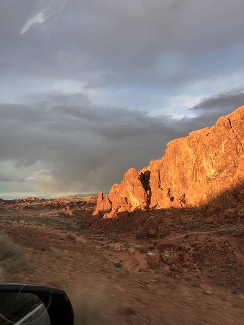 beardedhotpants nude