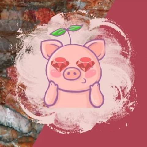 potbellypiglet6