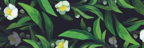 Miss Chloe - miss_chloe OnlyFans