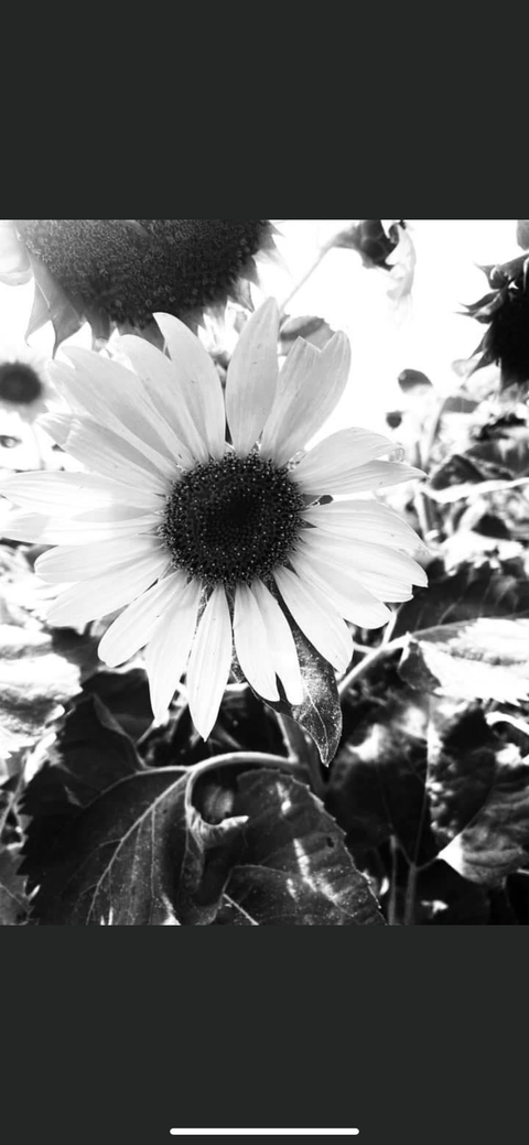 leo_highpriestess973 nude