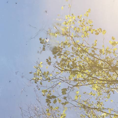 Little Dank Age - drtreetrunks OnlyFans