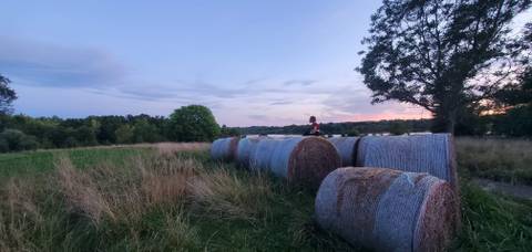 annieroseplants nude