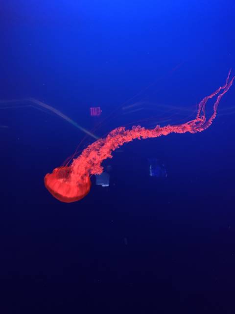 rachellebuchanon nude