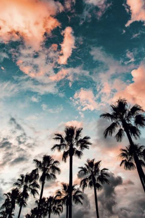 Bianca Bonnie 🤎 - bianca_bonnie_1 OnlyFans