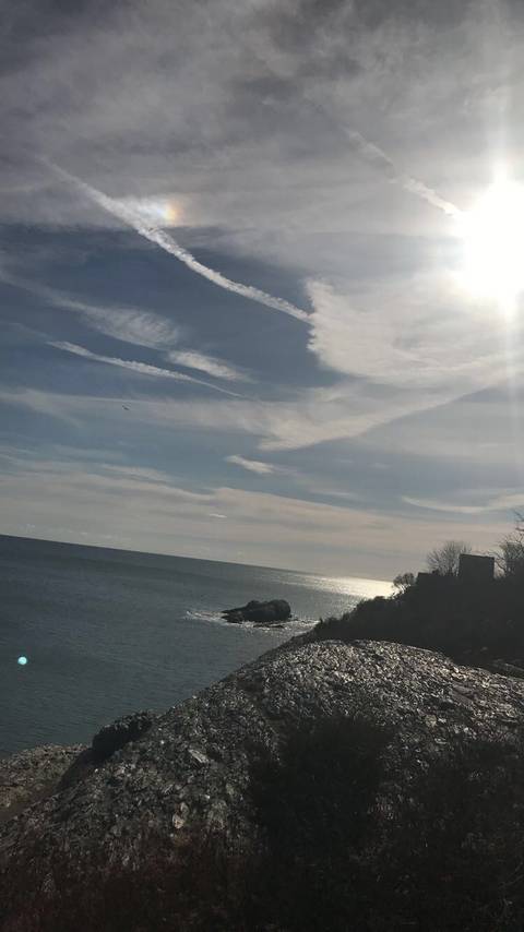 hotgirlshit_420 nude